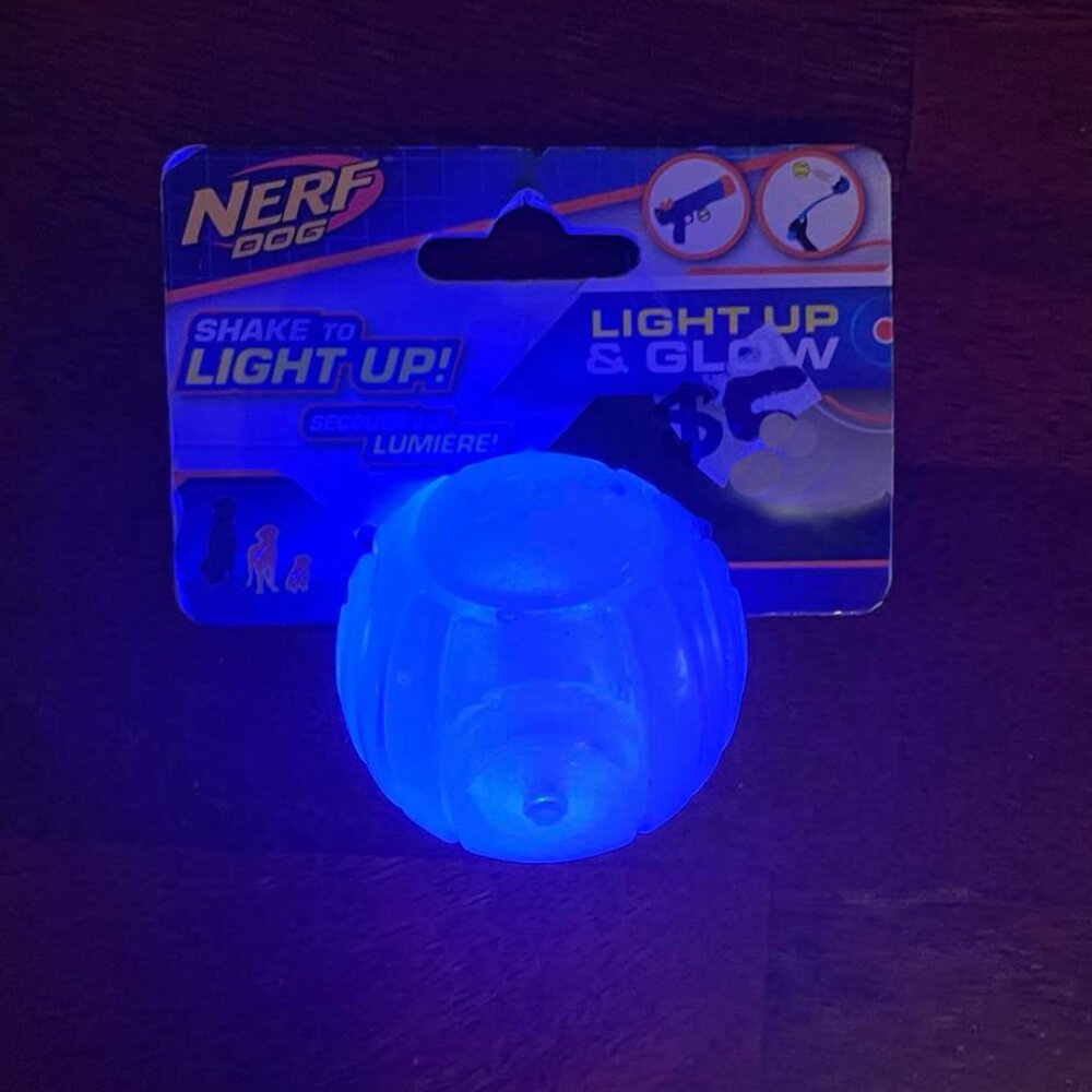 Small Dog Toy: Nerf Light-up Ball